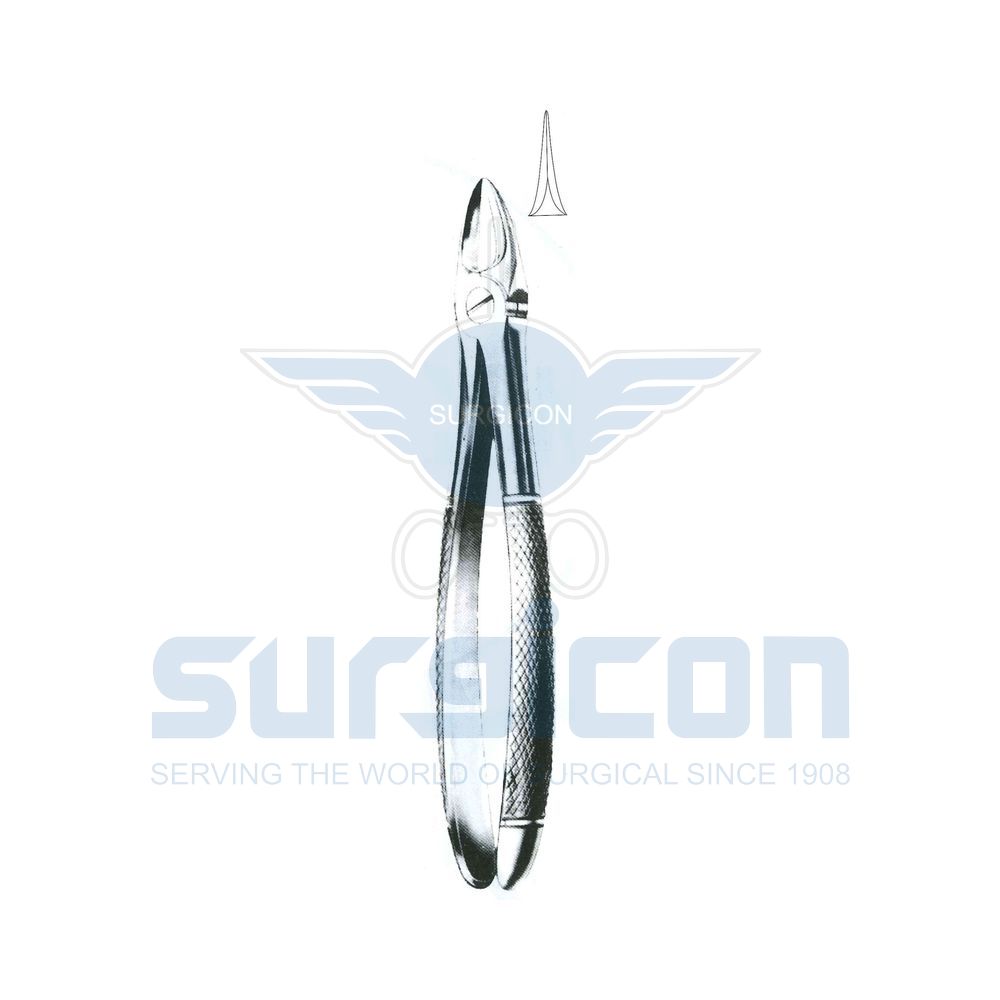 English-Pattern-Extraction-Forcep-SD-0449-54