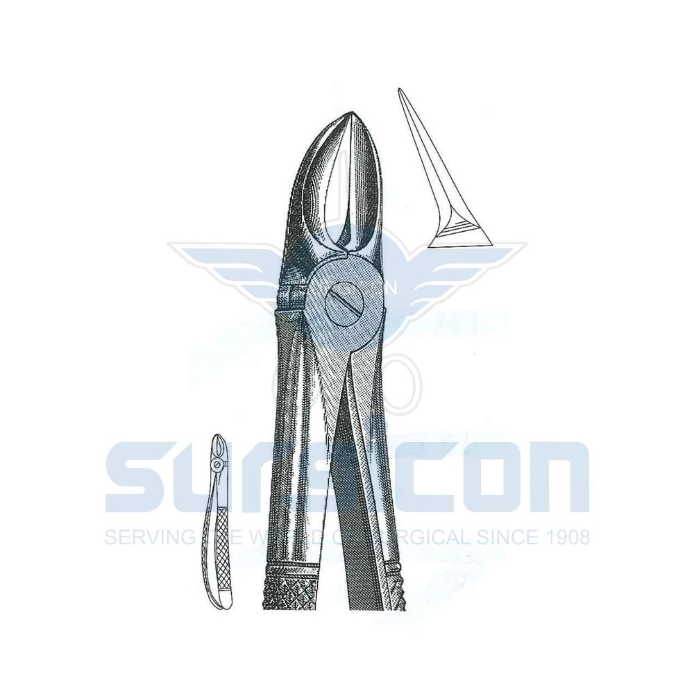 English-Pattern-Extraction-Forcep-SD-0450-55
