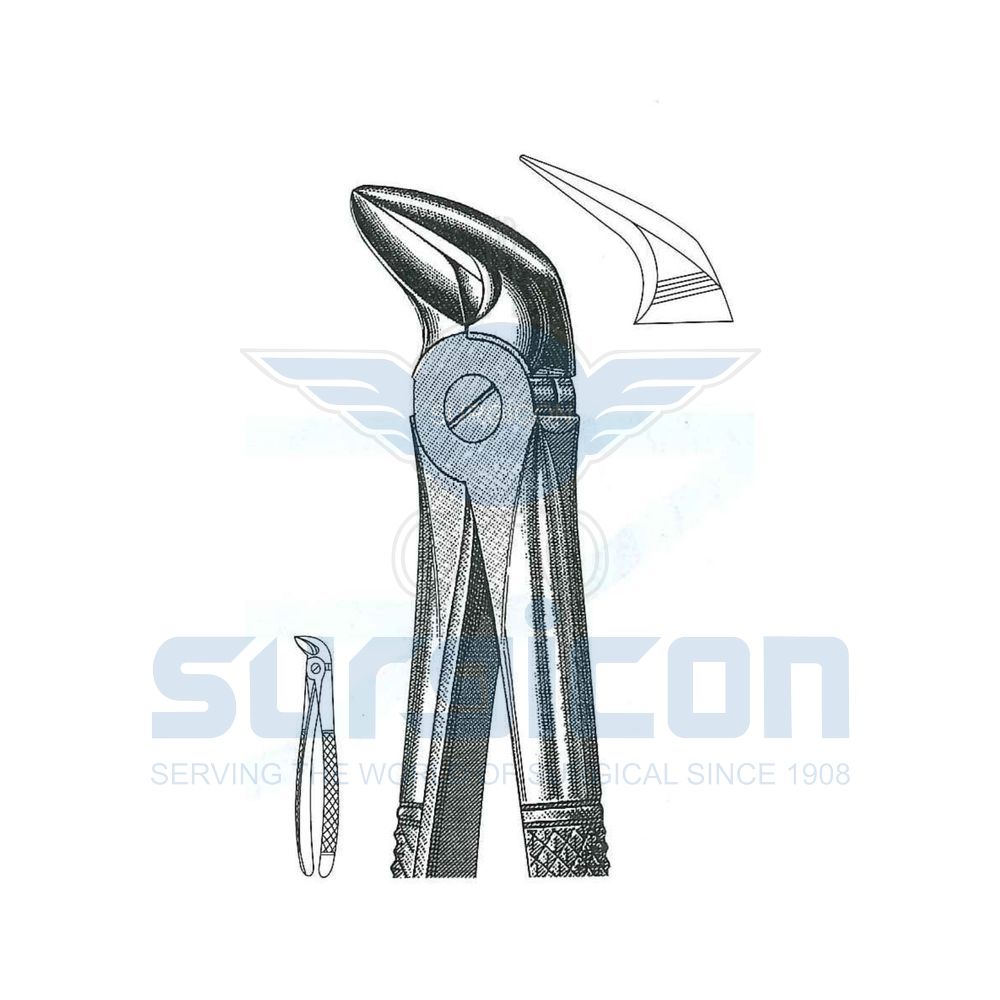 English-Pattern-Extraction-Forcep-SD-0451-56