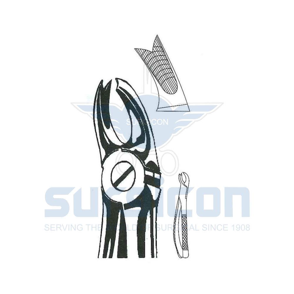 English-Pattern-Extraction-Forcep-SD-0452-65L