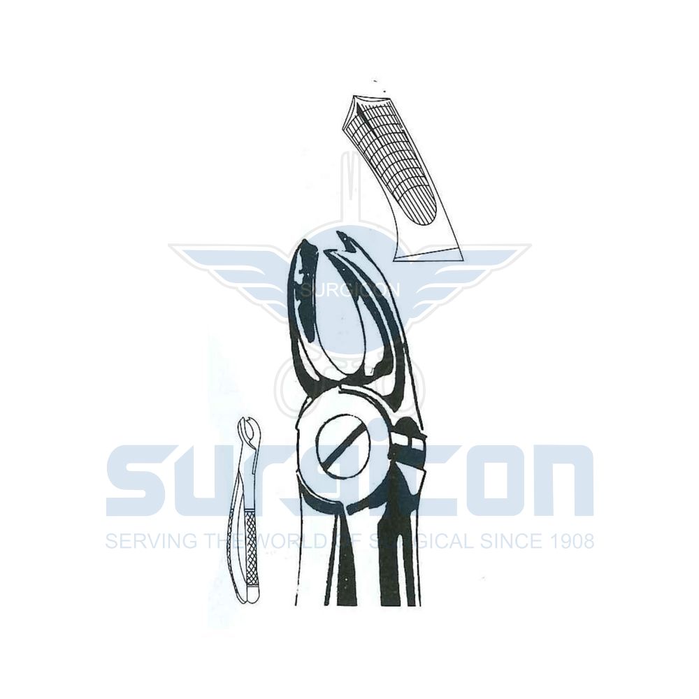 English-Pattern-Extraction-Forcep-SD-0453-65R