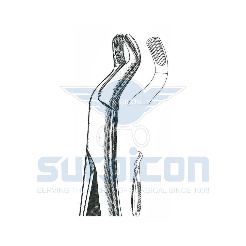 English-Pattern-Extraction-Forcep-SD-0454-67