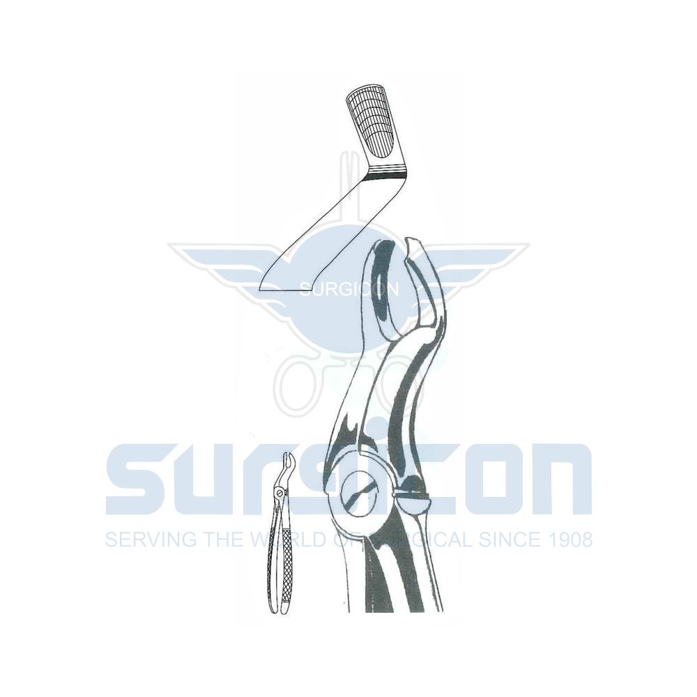 English-Pattern-Extraction-Forcep-SD-0456-67L