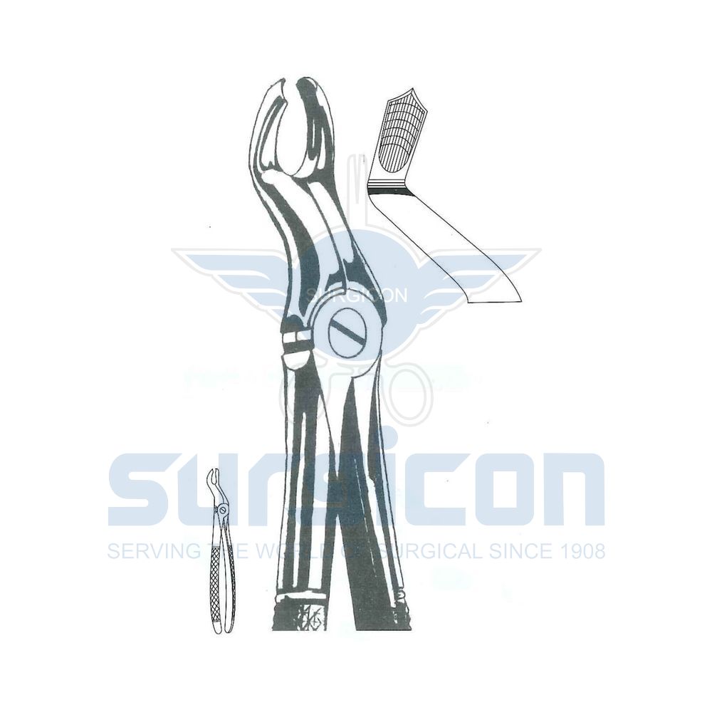English-Pattern-Extraction-Forcep-SD-0457-67R