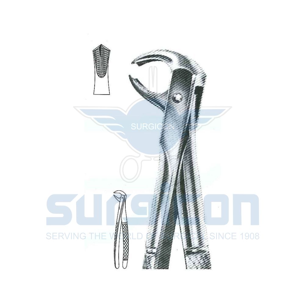 English-Pattern-Extraction-Forcep-SD-0462-73B