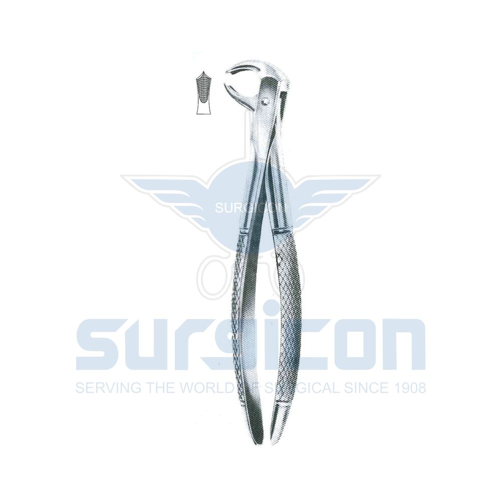 English-Pattern-Extraction-Forcep-SD-0463-73K