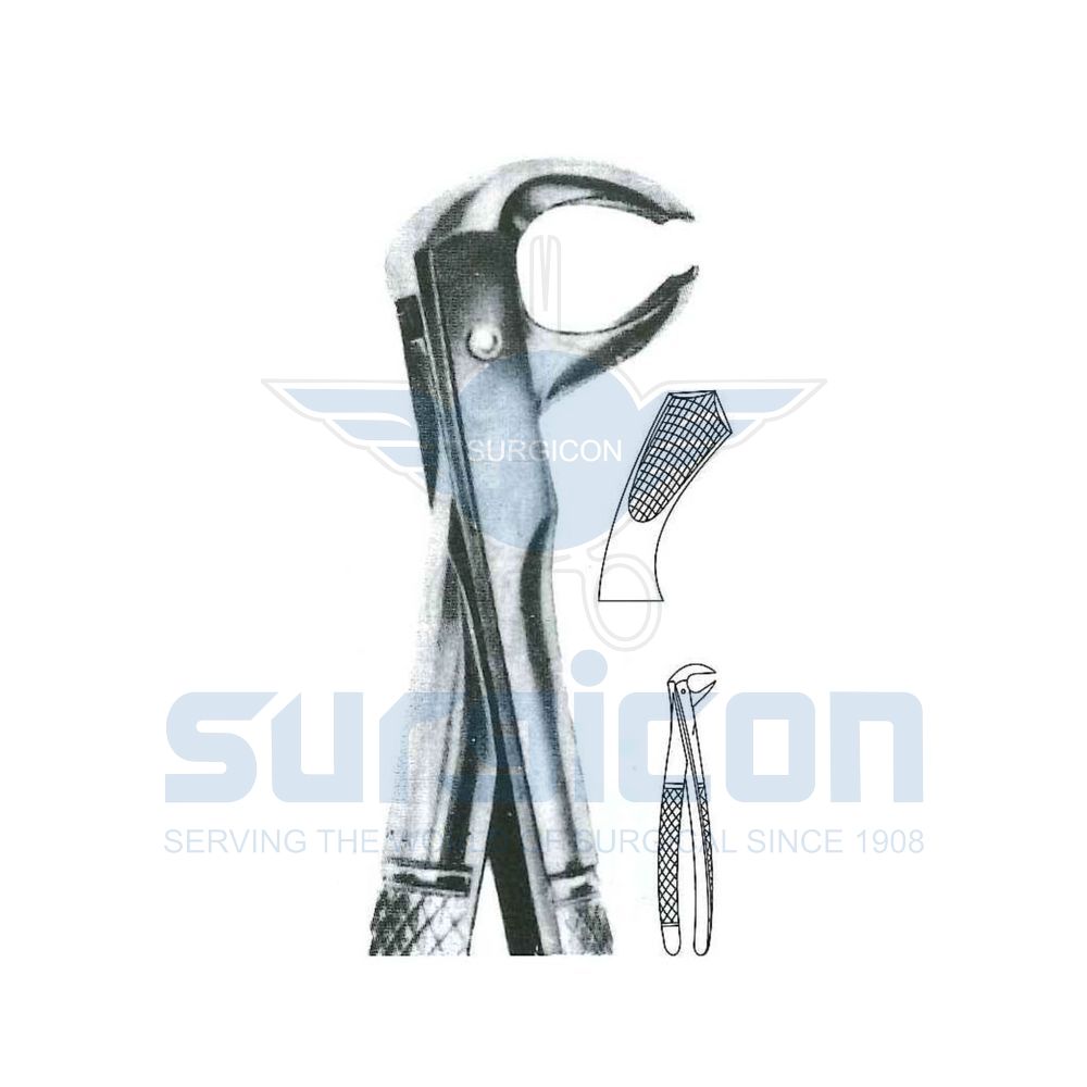 English-Pattern-Extraction-Forcep-SD-0464-73R