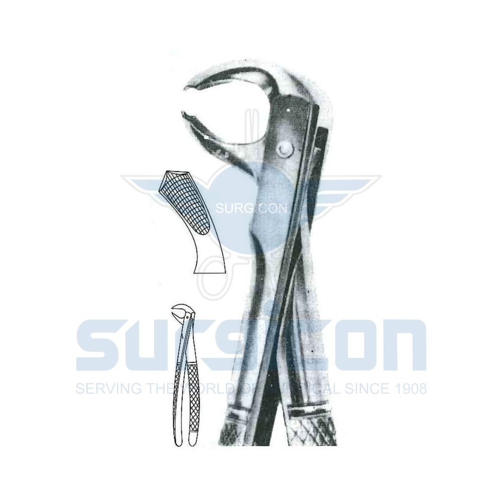 English-Pattern-Extraction-Forcep-SD-0465-73L