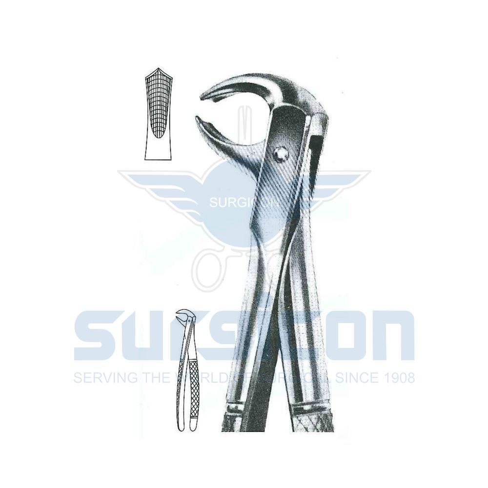 English-Pattern-Extraction-Forcep-SD-0466-73S
