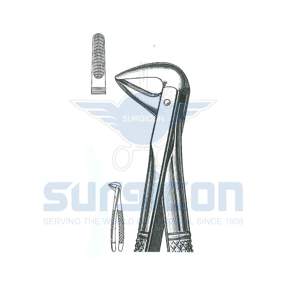 English-Pattern-Extraction-Forcep-SD-0467-74