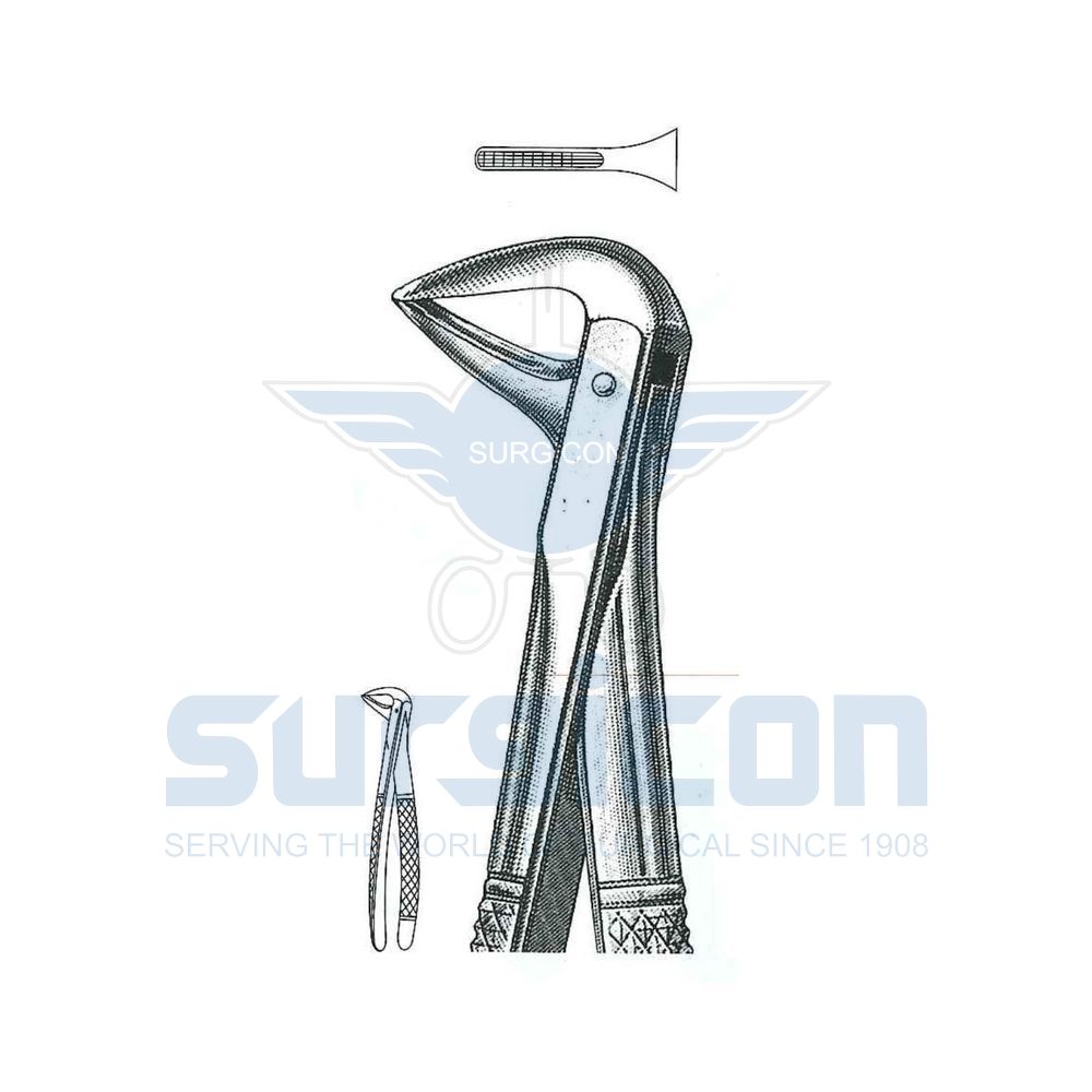 English-Pattern-Extraction-Forcep-SD-0469-74N