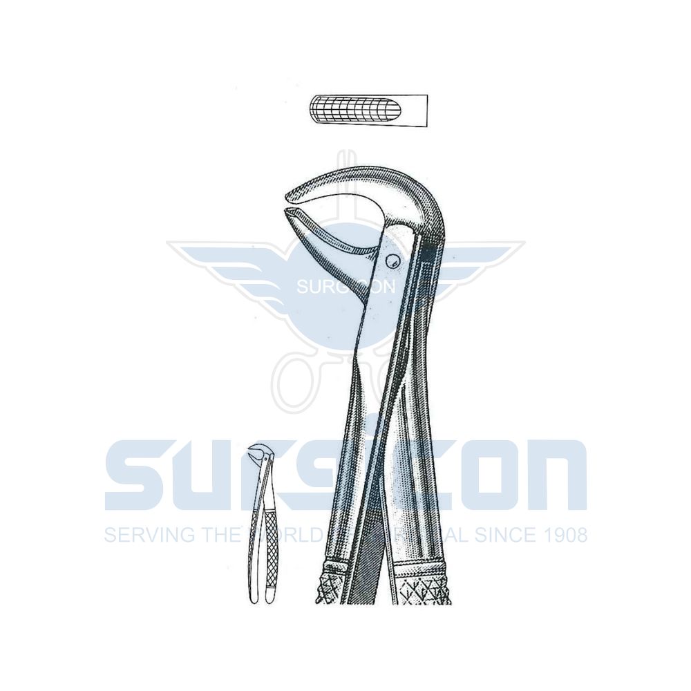 English-Pattern-Extraction-Forcep-SD-0472-75