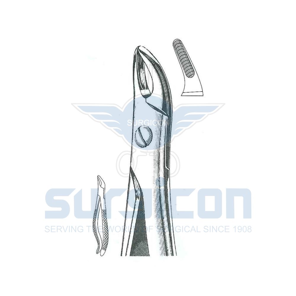 English-Pattern-Extraction-Forcep-SD-0475-76S