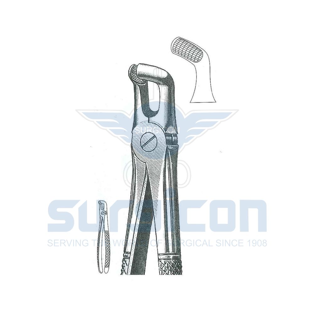 English-Pattern-Extraction-Forcep-SD-0477-79A