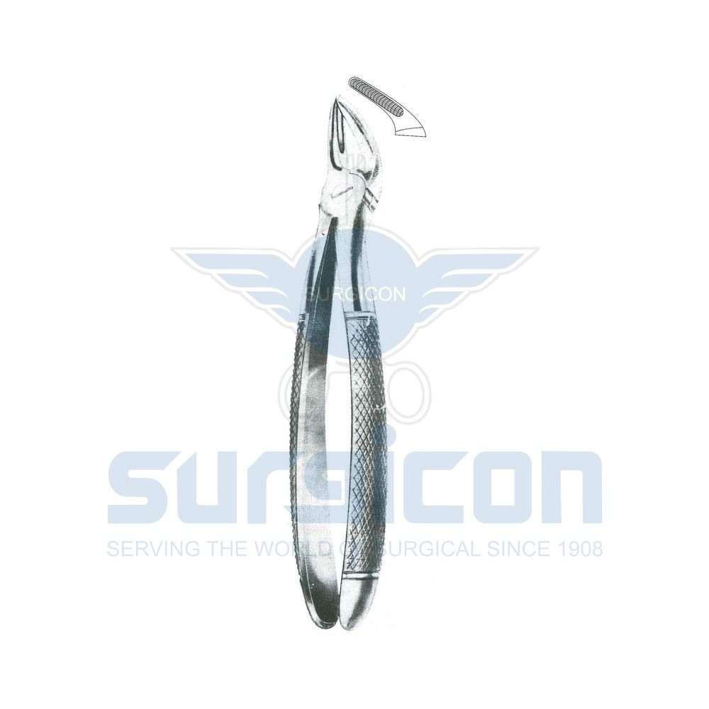 English-Pattern-Extraction-Forcep-SD-0478-80
