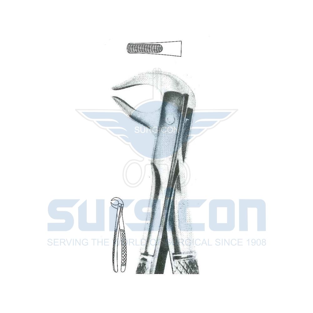 English-Pattern-Extraction-Forcep-SD-0479-81