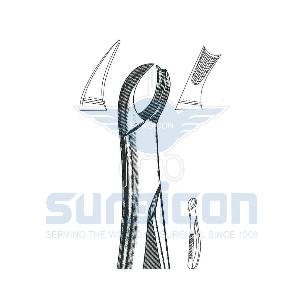 English-Pattern-Extraction-Forcep-SD-0484-89
