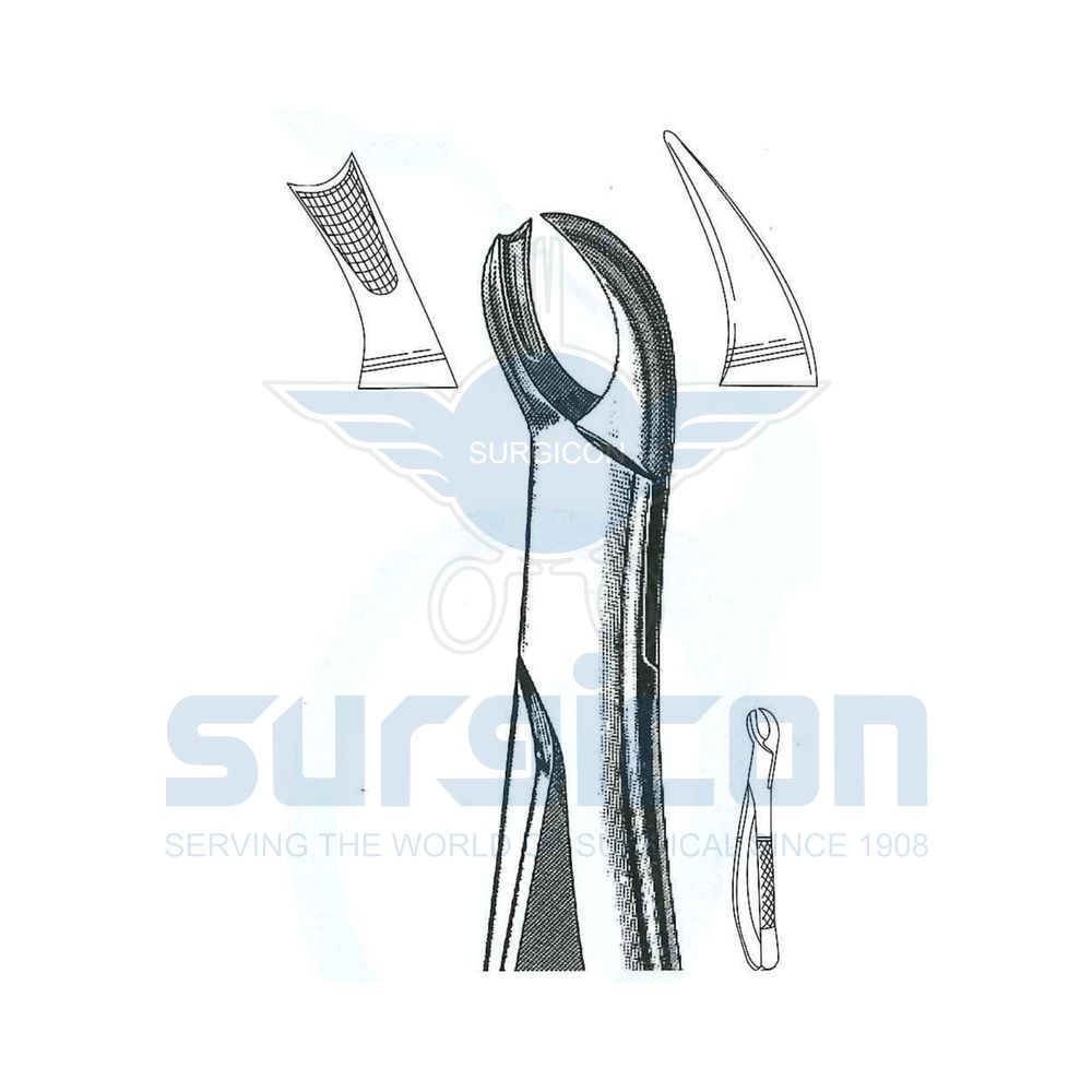 English-Pattern-Extraction-Forcep-SD-0485-90