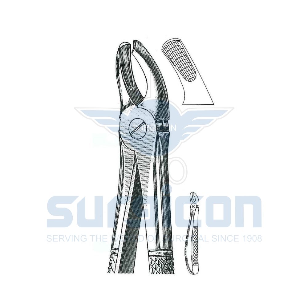 English-Pattern-Extraction-Forcep-SD-0487-95