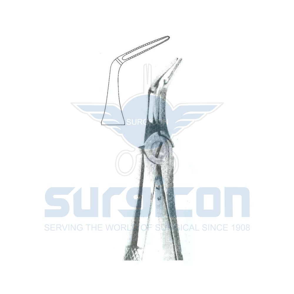 English-Pattern-Extraction-Forcep-SD-0501-46L