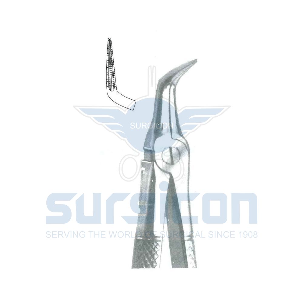 English-Pattern-Extraction-Forcep-SD-0502-145