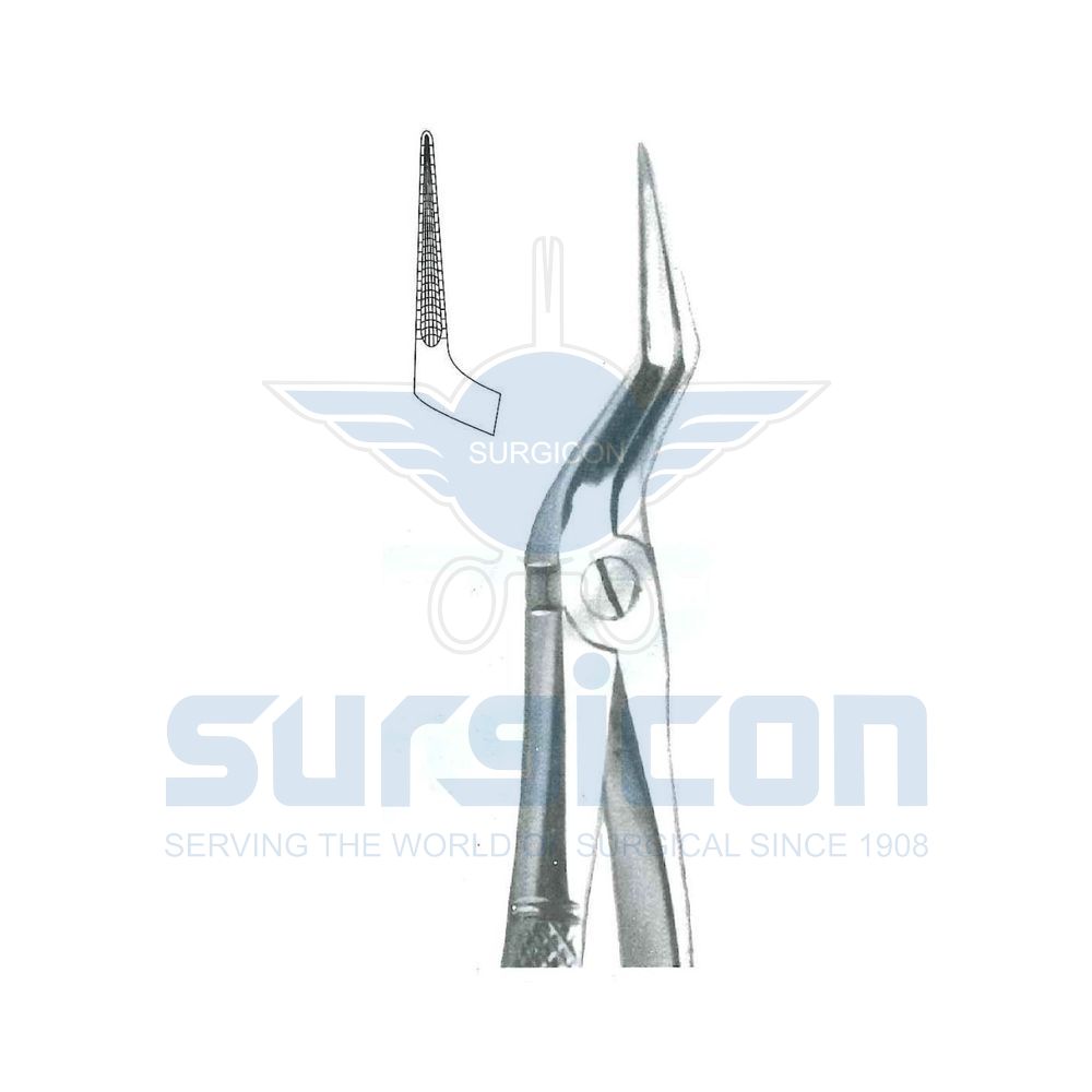 English-Pattern-Extraction-Forcep-SD-0503-151