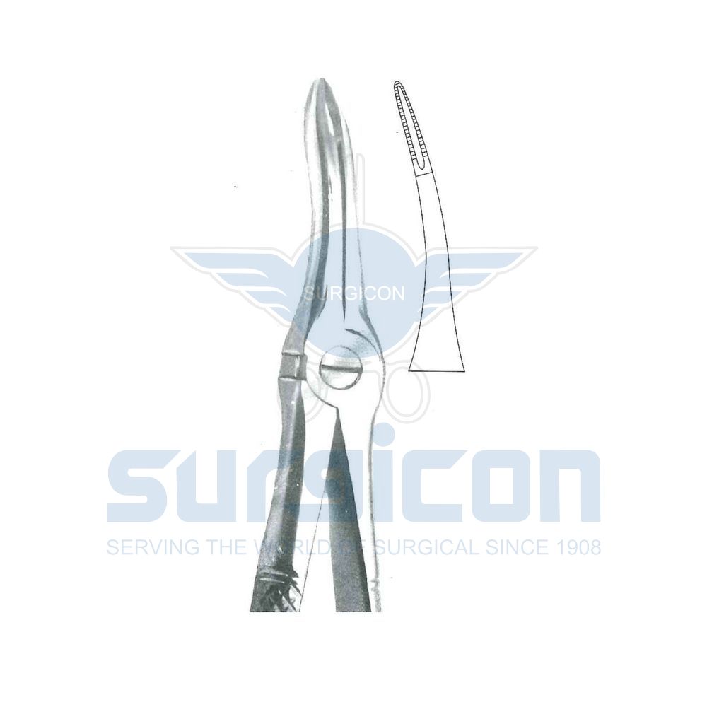 English-Pattern-Extraction-Forcep-SD-0505-349