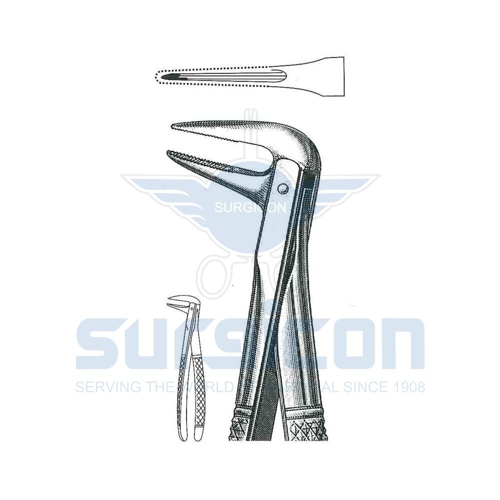 English-Pattern-Extraction-Forcep-SD-0509-233