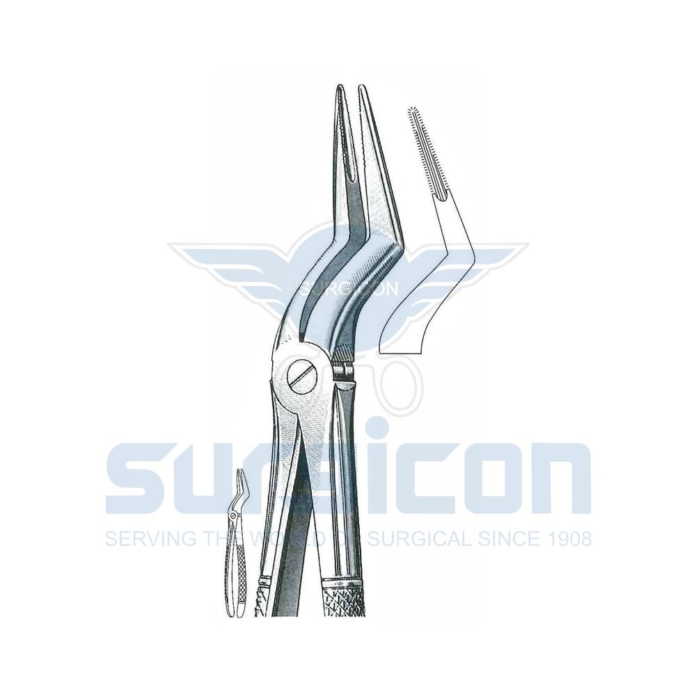 English-Pattern-Extraction-Forcep-SD-0510-235