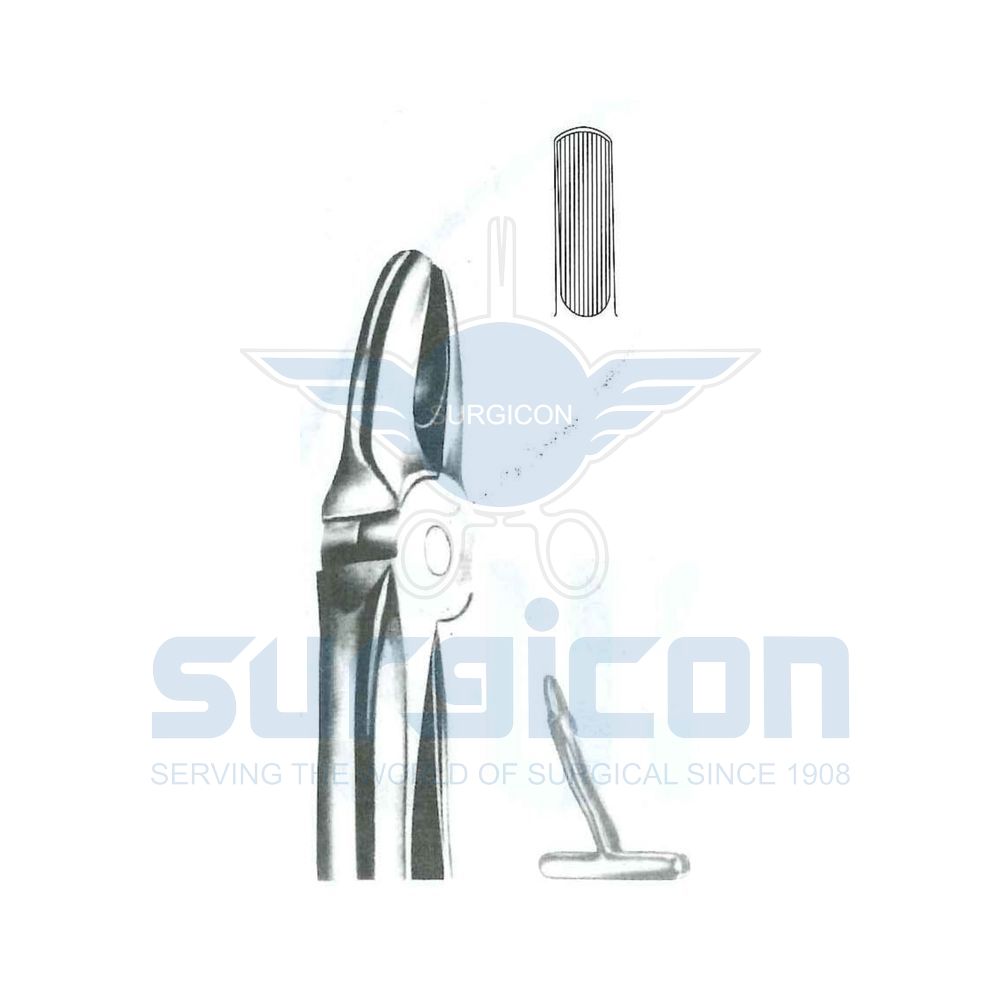 English-Pattern-Extraction-Forcep-SD-0511-00