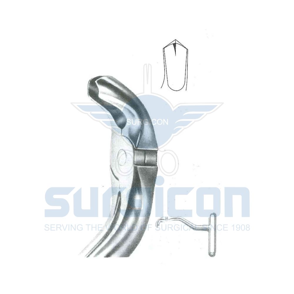 English-Pattern-Extraction-Forcep-SD-0512-00