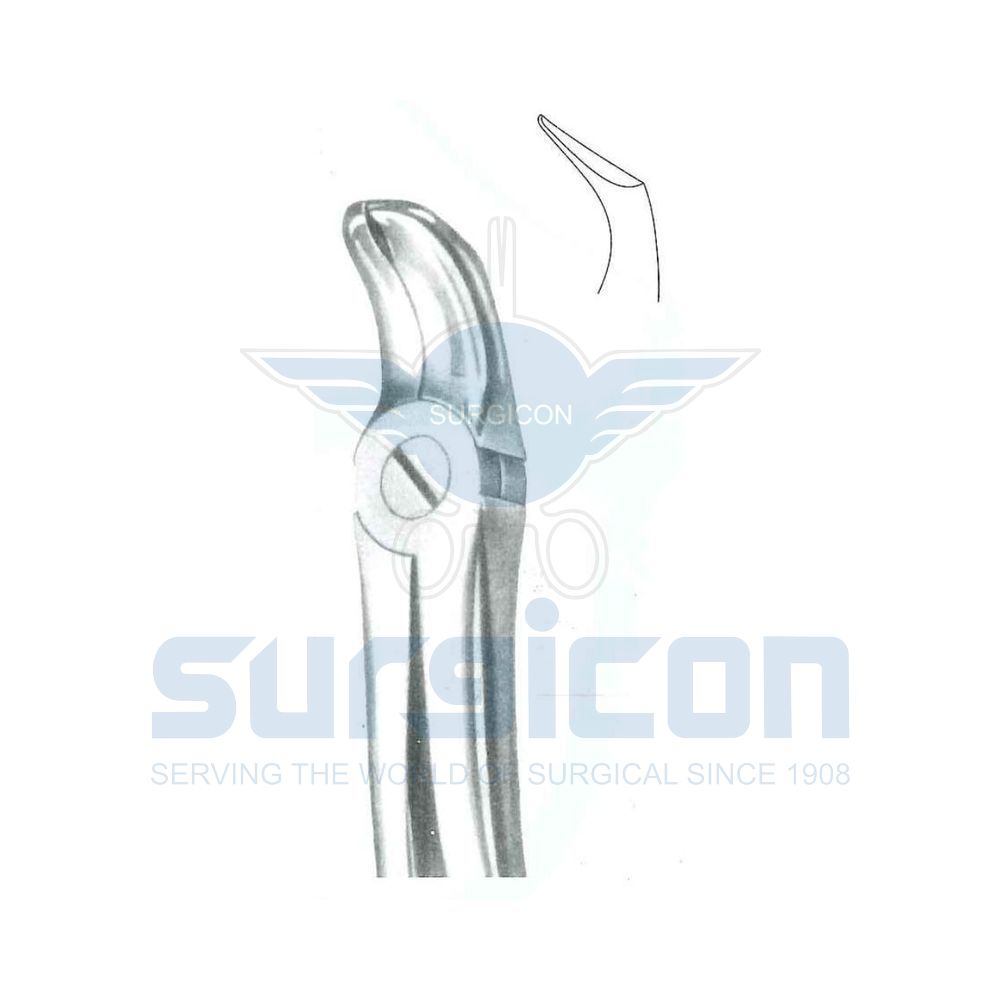 Euler-English-Pattern-Extraction-Forcep-SD-0513-00