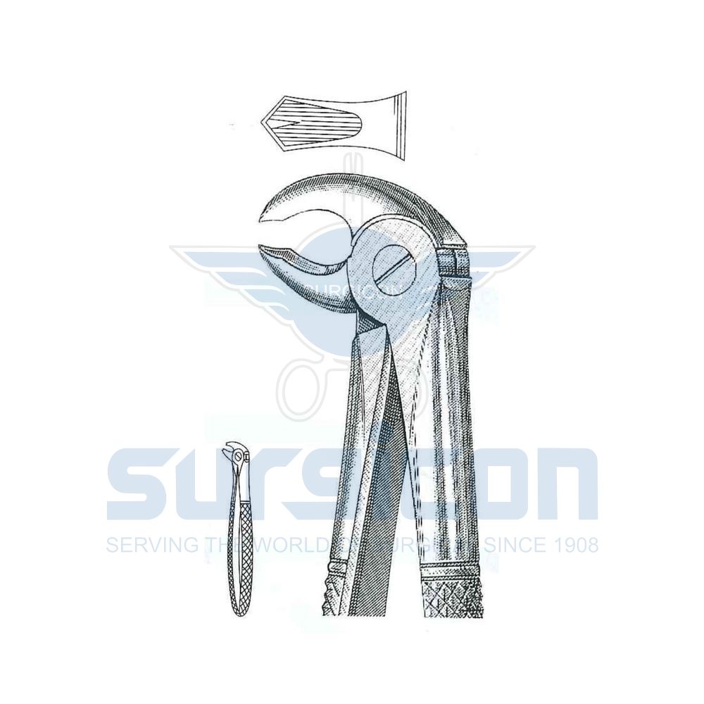 Hawk's-Bill-English-Pattern-Extraction-Forcep-SD-0215-22