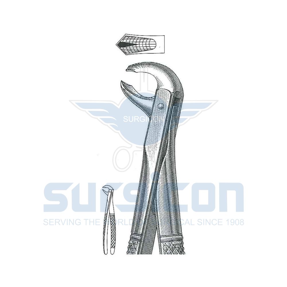 Hawk's-Bill-English-Pattern-Extraction-Forcep-SD-0460-73