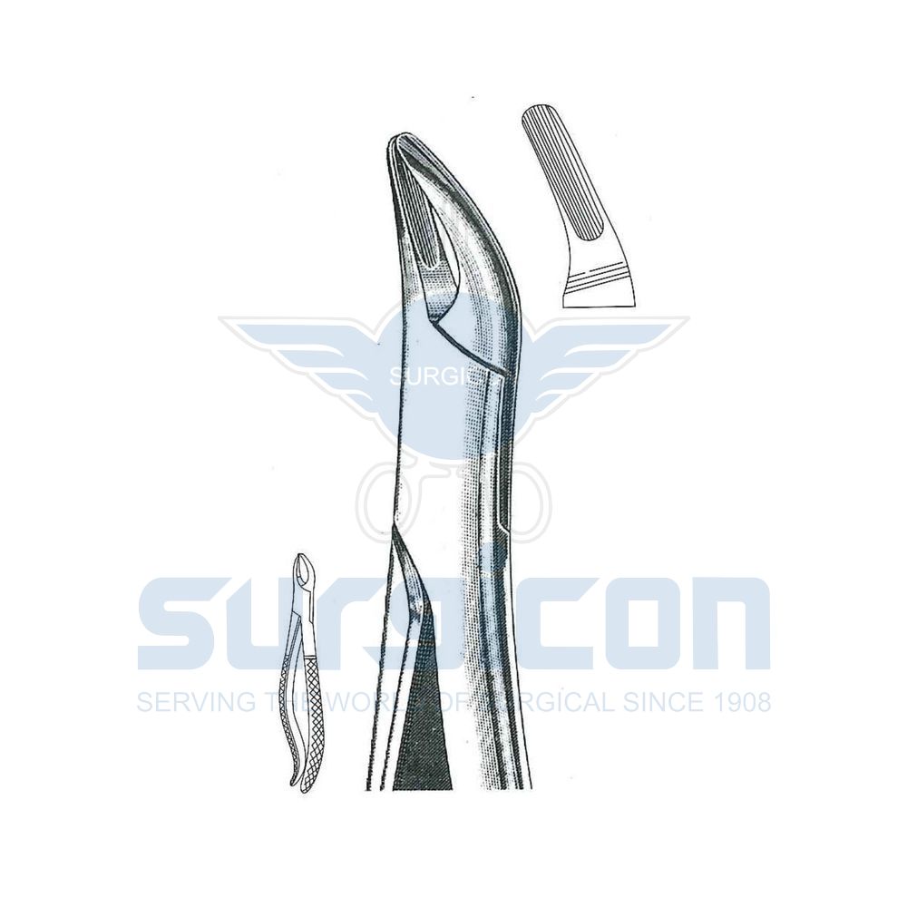 Lawrence-Read-English-Pattern-Extraction-Forcep-SD-0273-76