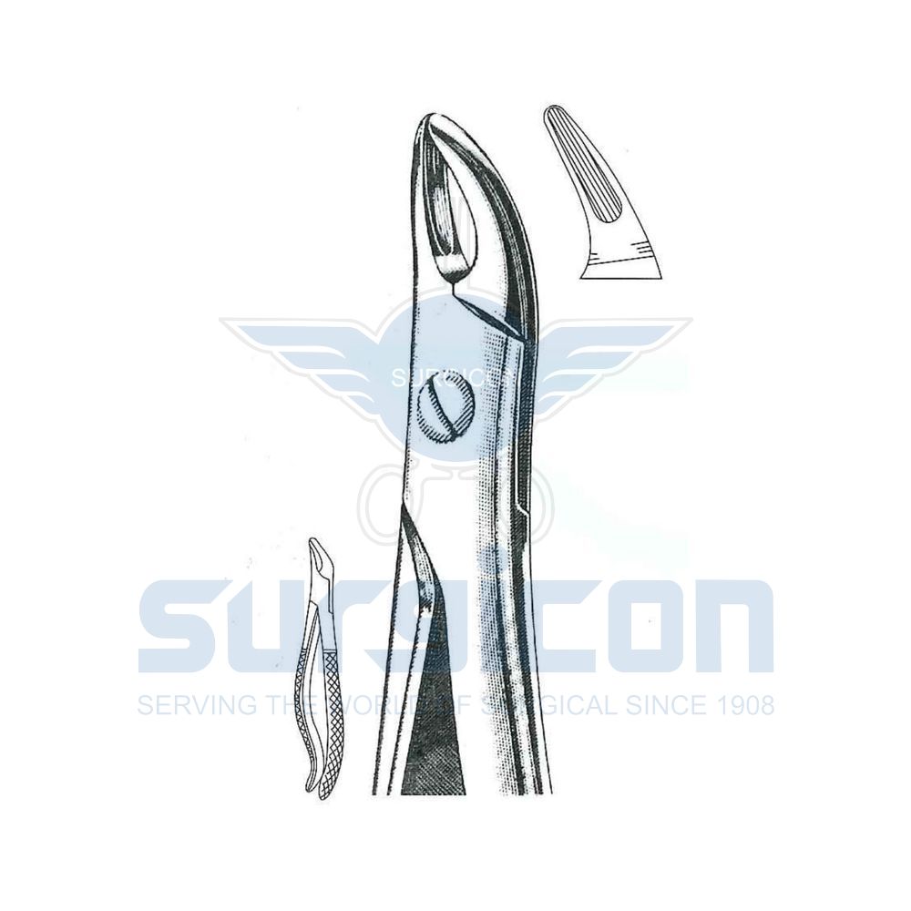 Lawrence-Read-English-Pattern-Extraction-Forcep-SD-0275-76S