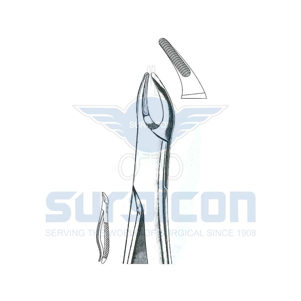 Lawrence-Read-English-Pattern-Extraction-Forcep-SD-0474-76N