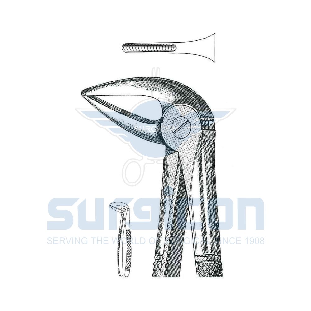 Mod---Martin-English-Pattern-Extraction-Forcep-SD-0430-33M