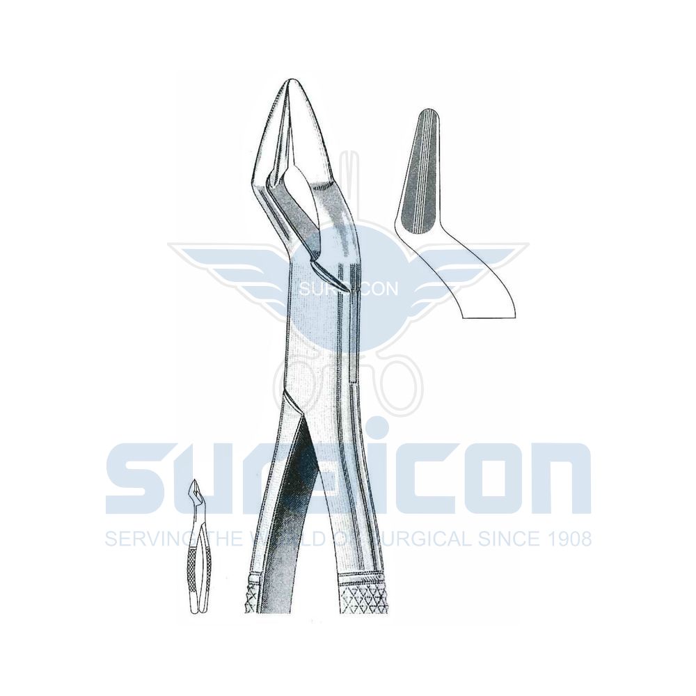 Parmly-American-Pattern-Extraction-Forcep-SD-0569-32