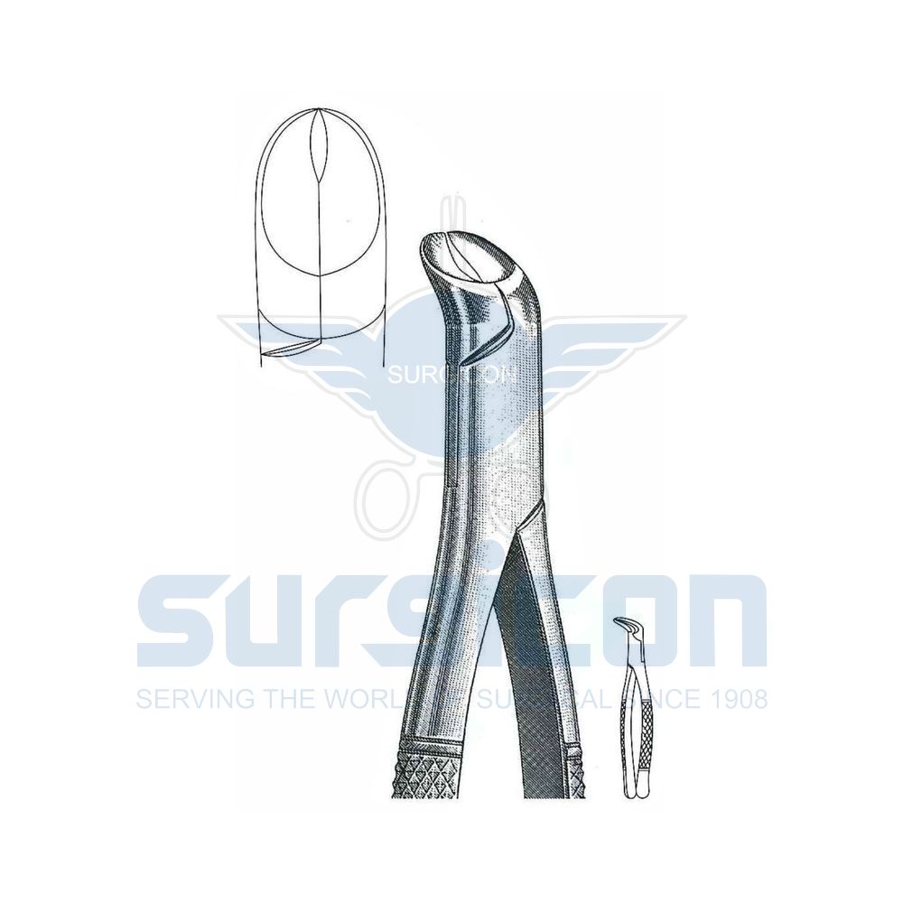 Physick-American-Pattern-Extraction-Forcep-SD-0557-05
