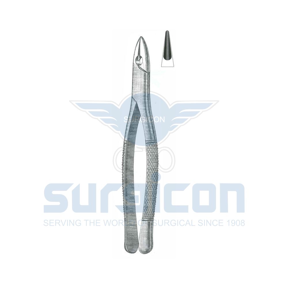 Standard-American-Pattern-Extraction-Forcep-SD-0554-01