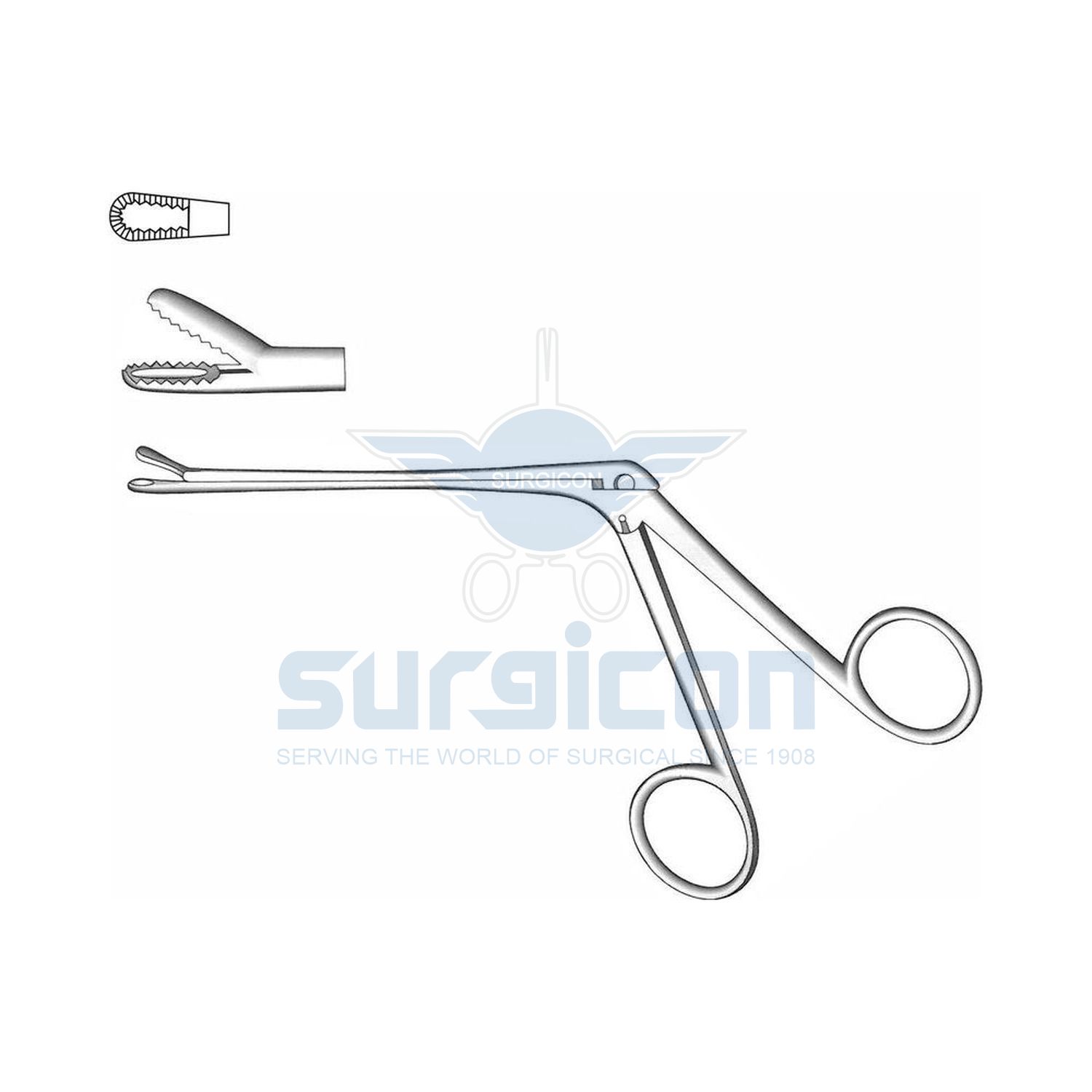 Watson-Williams-Polypus-And-Septum-Forcep-J-32-400