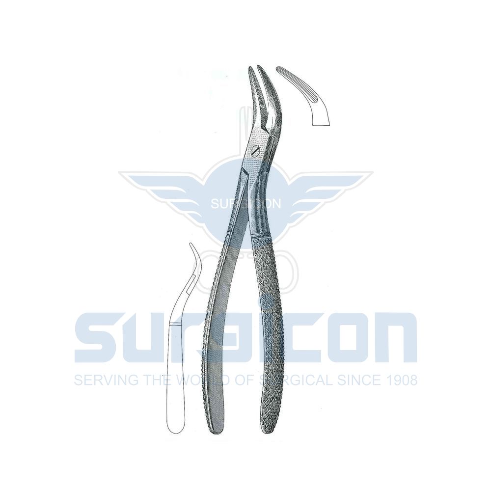 Witzel-Root-Fragment-Forcep-SD-0307-501