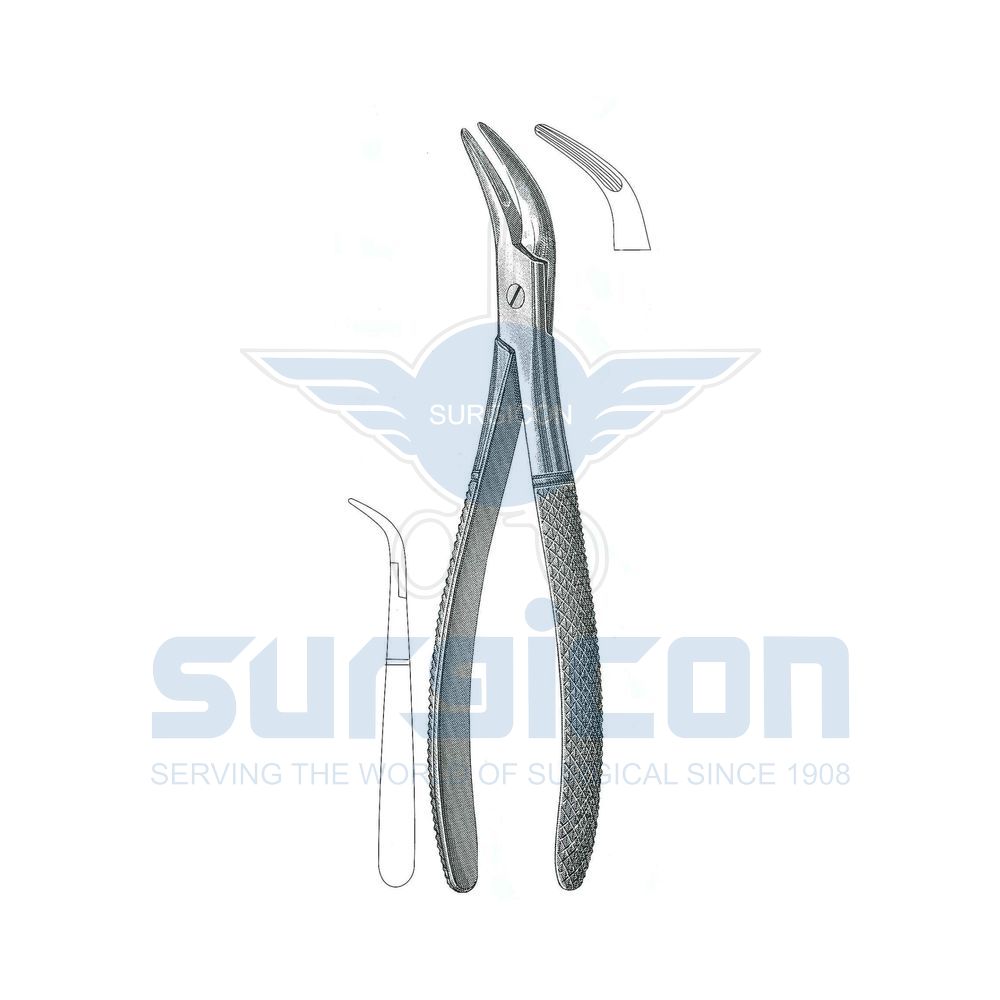 Witzel-Root-Fragment-Forcep-SD-0308-502