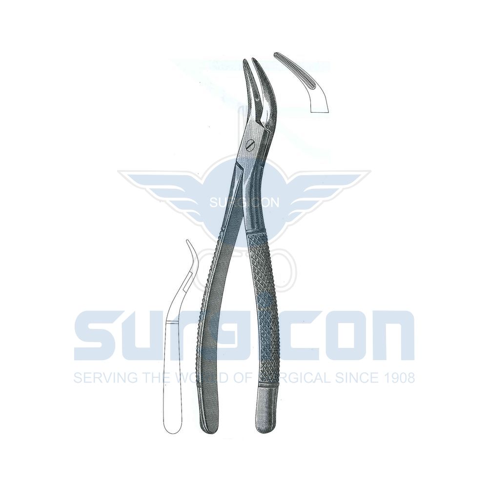 Witzel-Root-Fragment-Forcep-SD-0507-501