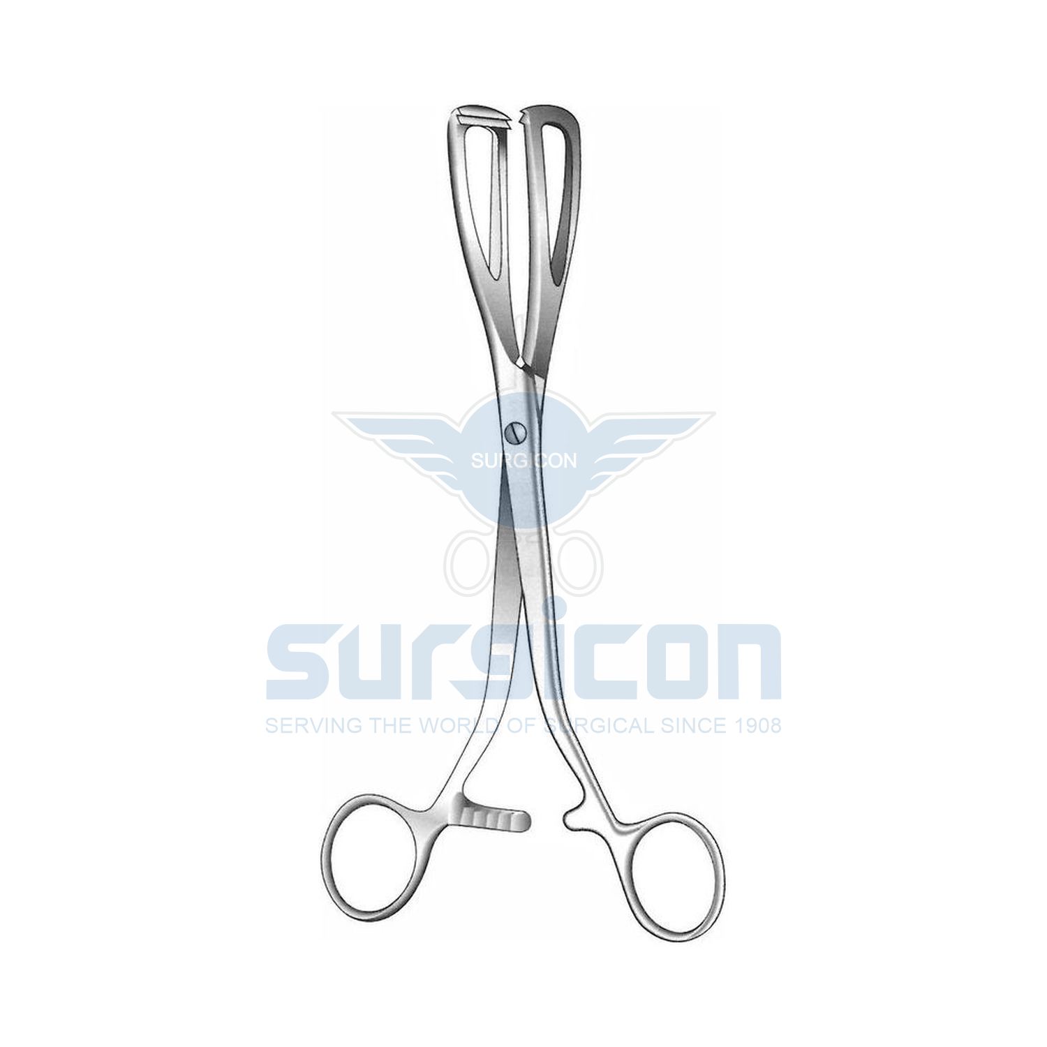 Young-Lithotomy-Forcep-J-38-211
