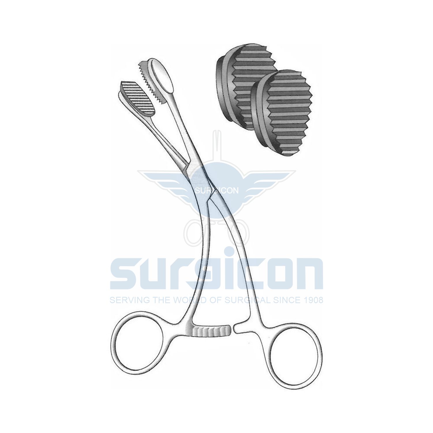 Young-Tongue-Holding-Forcep-J-33-550